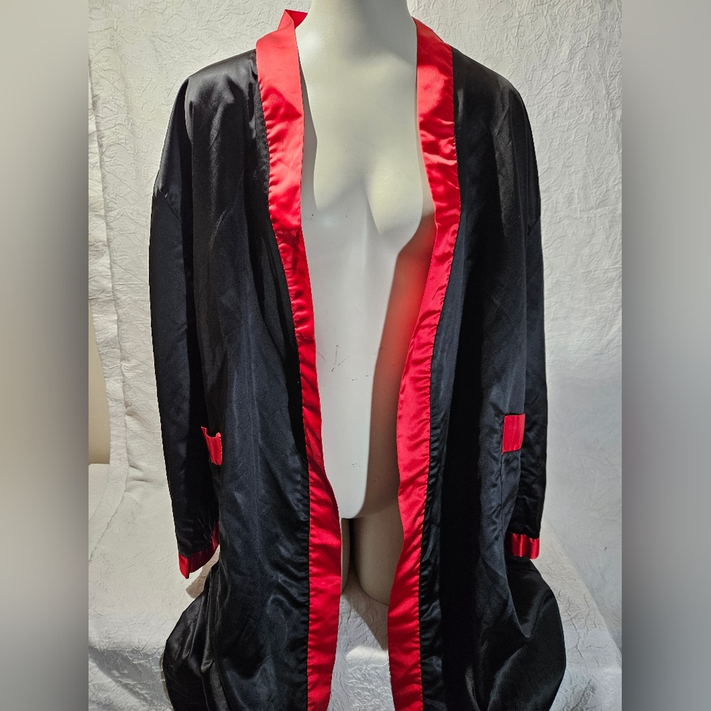 Vintage Dragon Kimono Robe - Picture 5 of 9